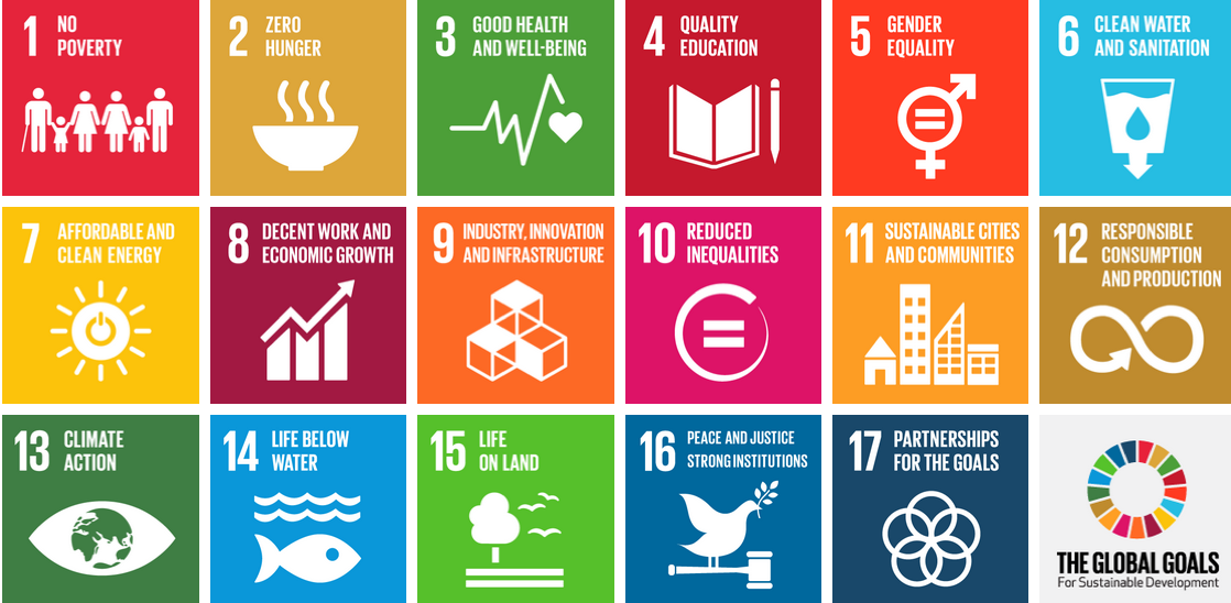Sustainable Development Goals - icons